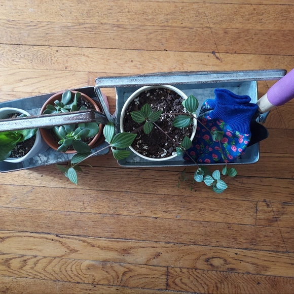 Rustic Plant boxes - *new* set of 2 - metal - Bloom Where You Are Planted - Picture 4 of 11